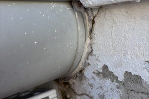 IMG_1629